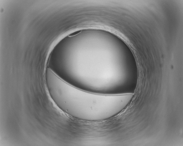 X0000062141536200512091202