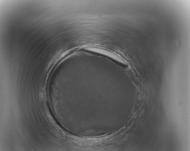 X0000062140002200512121253