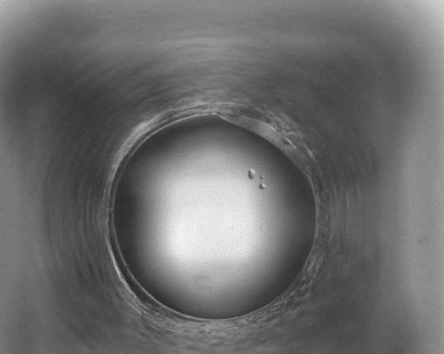 X0000062140003200512121253