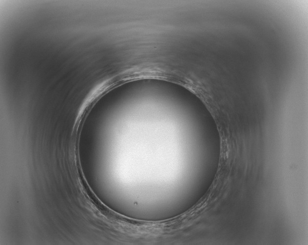 X0000062140004200512121253