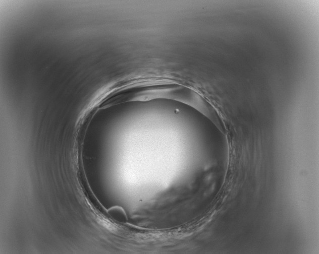 X0000062140005200512121253