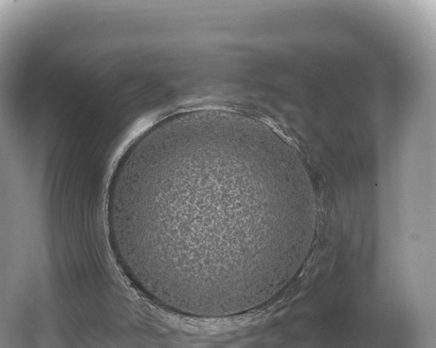 X0000062140006200512121253