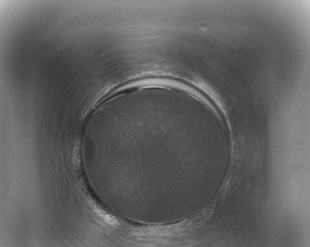 X0000062140009200512121253