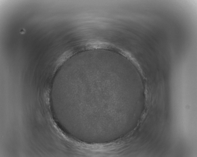 X0000062140010200512121253