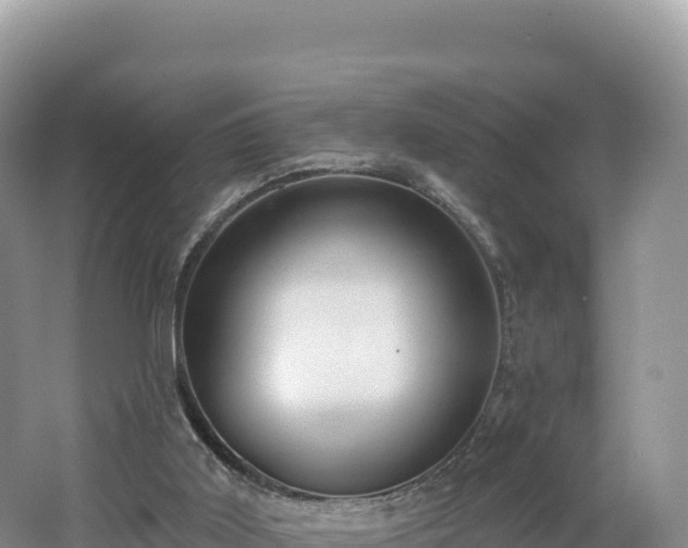 X0000062140011200512121253