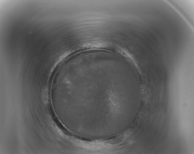 X0000062140012200512121253