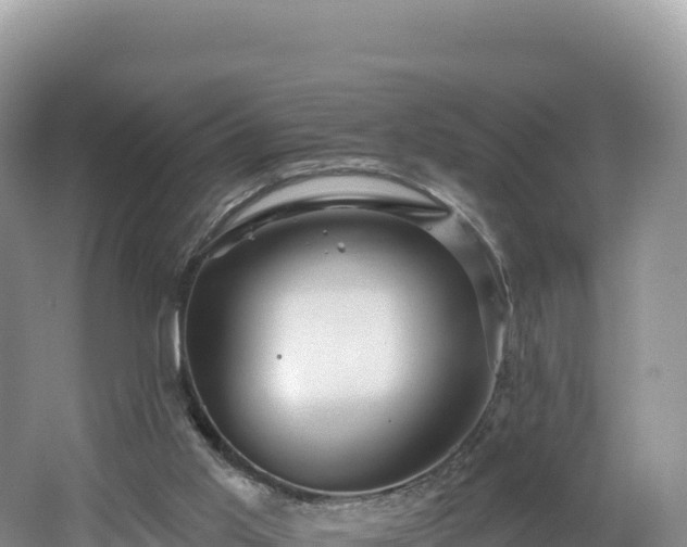 X0000062140013200512121253