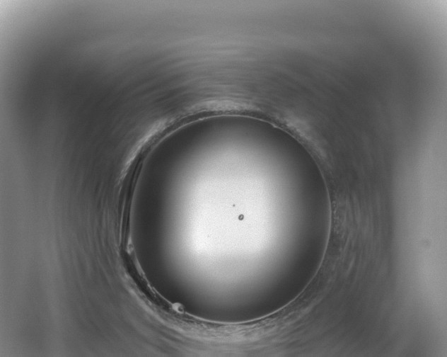 X0000062140015200512121253