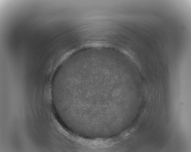 X0000062140016200512121253