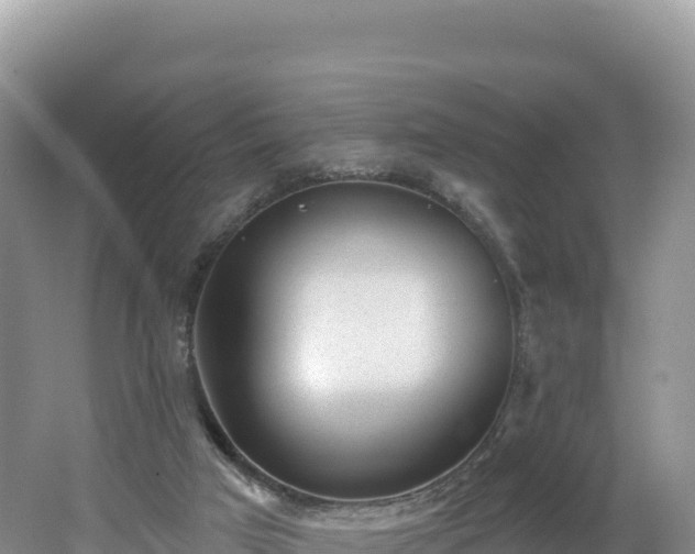 X0000062140017200512121253