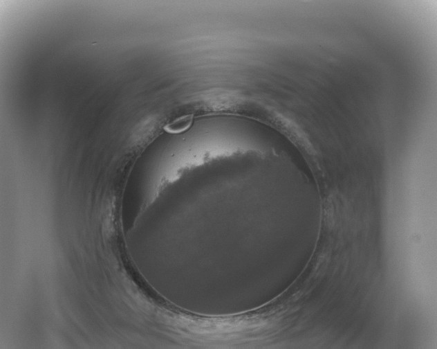 X0000062140018200512121253