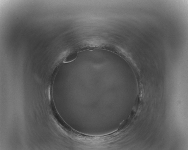 X0000062140019200512121253