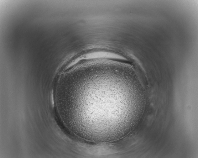 X0000062140020200512121253