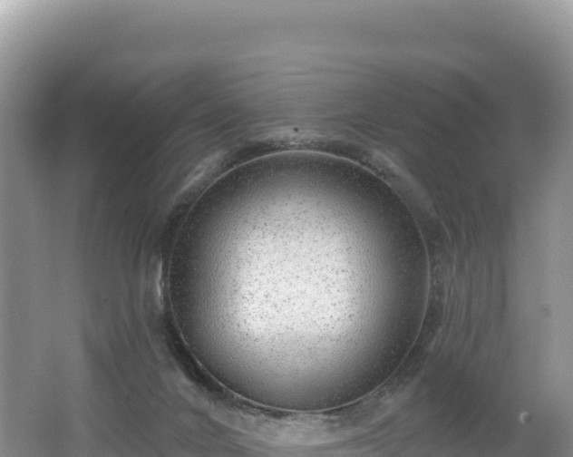 X0000062140024200512121253