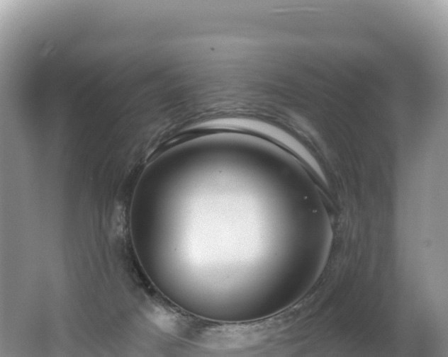 X0000062140025200512121253