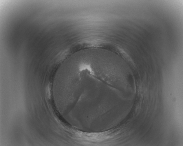 X0000062140026200512121253