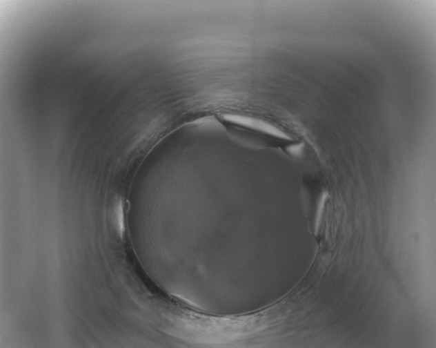 X0000062140027200512121253