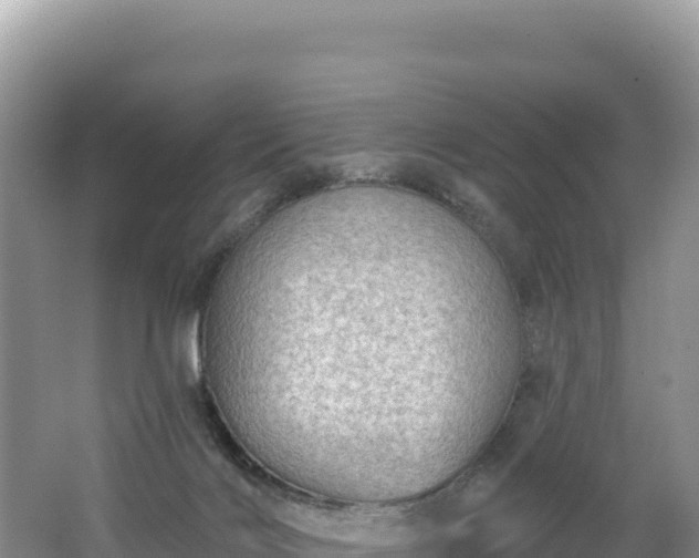 X0000062140028200512121253