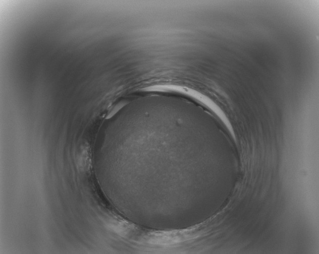 X0000062140029200512121253