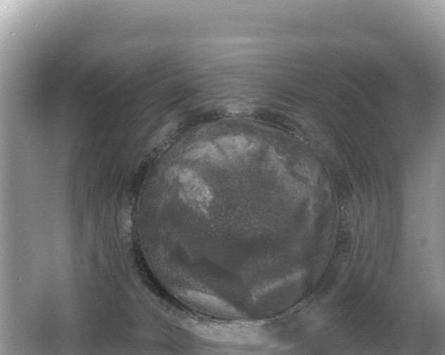 X0000062140032200512121253