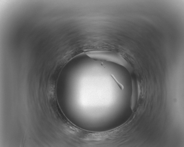 X0000062140033200512121253