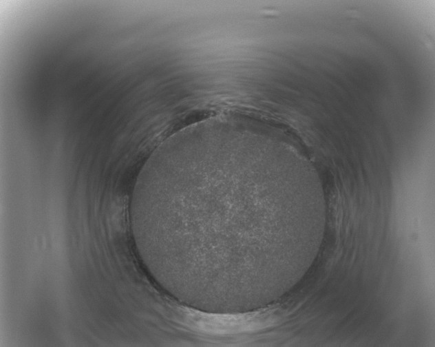 X0000062140034200512121253