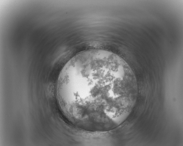 X0000062140036200512121253