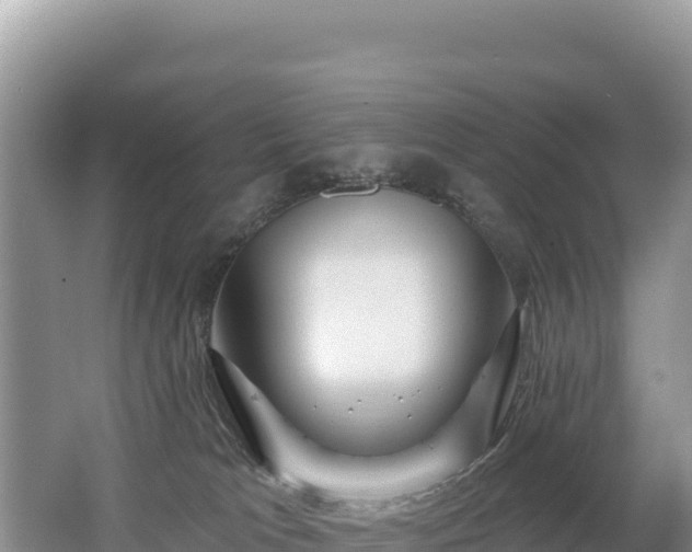 X0000062140037200512121253