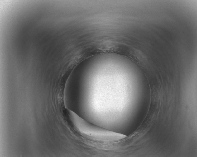 X0000062140040200512121253