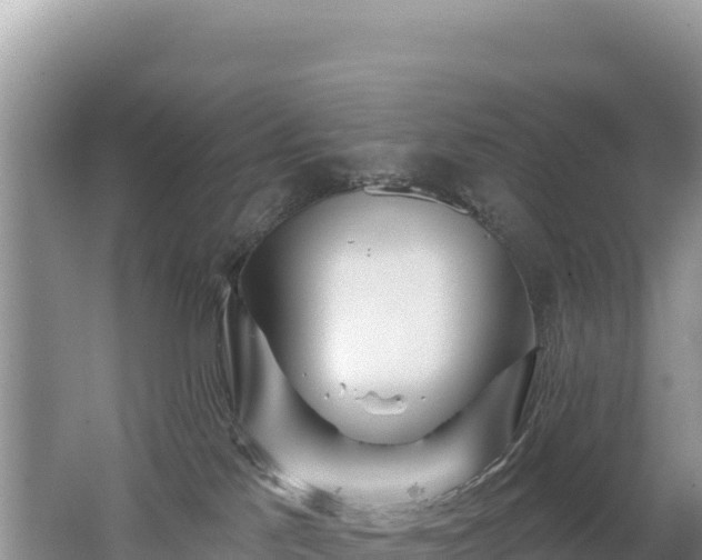 X0000062140041200512121253