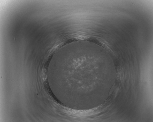 X0000062140043200512121253