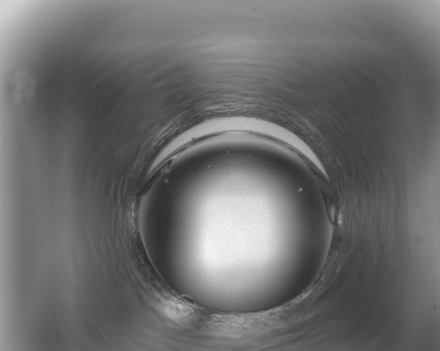 X0000062140045200512121253