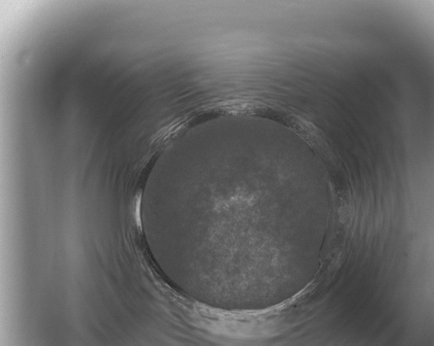 X0000062140047200512121253