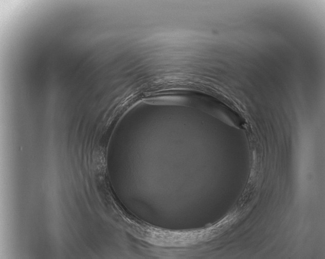 X0000062140048200512121253