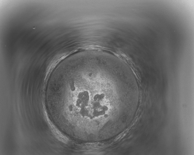 X0000062140049200512121252