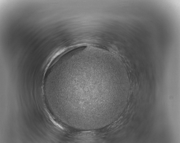 X0000062140050200512121252