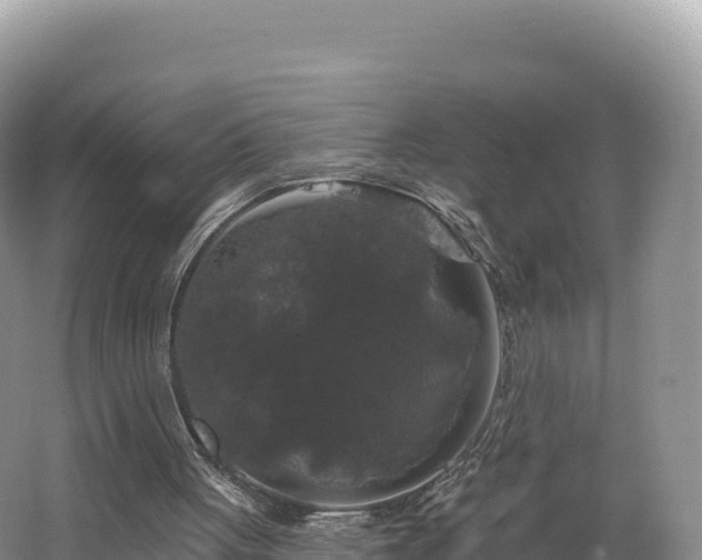 X0000062140051200512121252