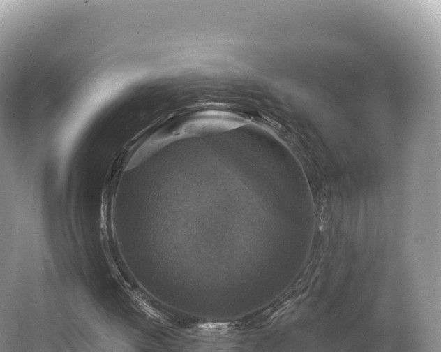 X0000062140052200512121252