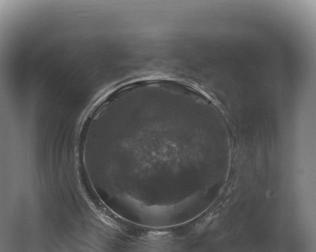 X0000062140055200512121252