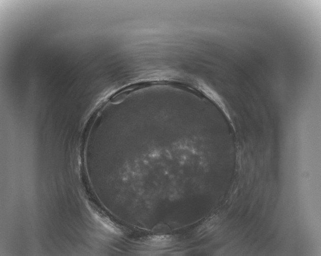 X0000062140059200512121252