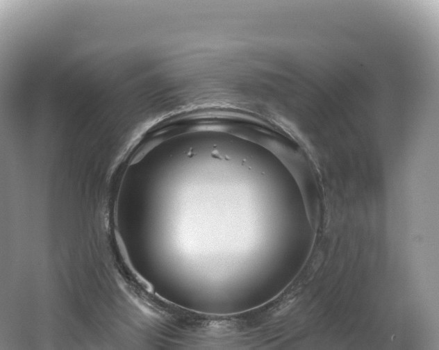 X0000062140060200512121252