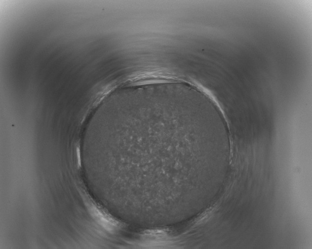 X0000062140061200512121252