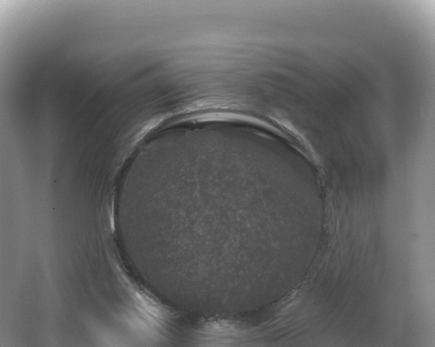 X0000062140062200512121252