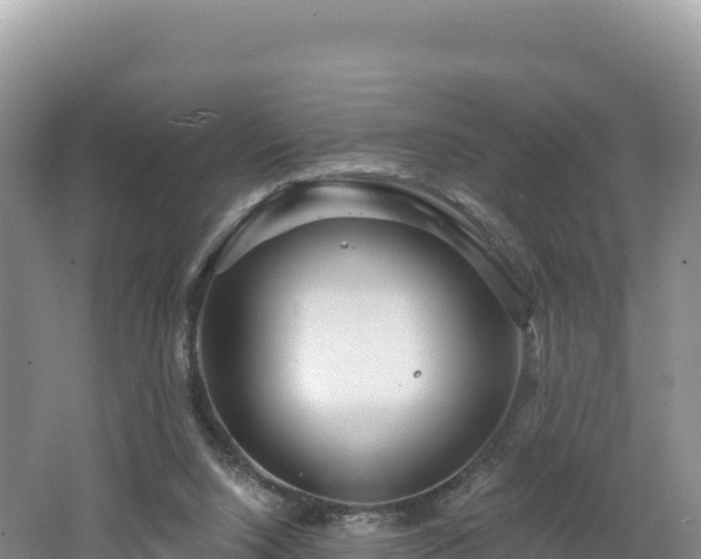 X0000062140064200512121252