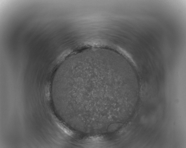 X0000062140065200512121252