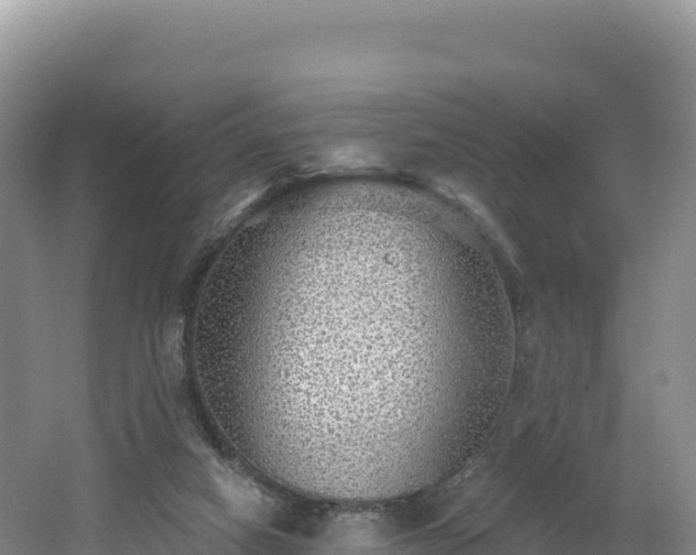 X0000062140066200512121252