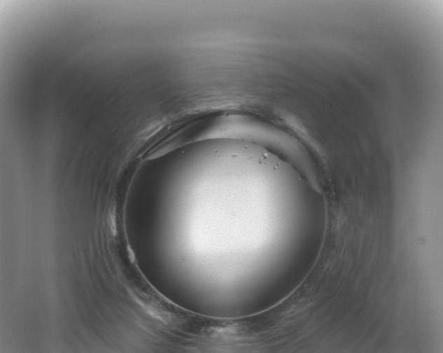 X0000062140068200512121252