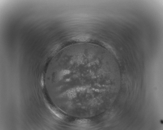 X0000062140069200512121252