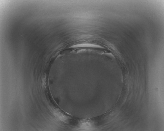 X0000062140073200512121252