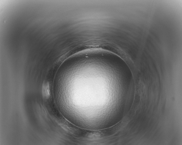 X0000062140075200512121252